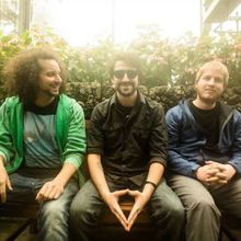 Sunsquabi