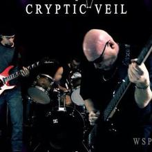 Cryptic Veil