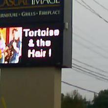 Tortoise and Hair
