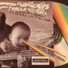 The Flaming Lips, Stardeath & White Dwarfs