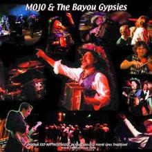 MOJO & The Bayou Gypsies