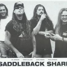 Saddleback Shark