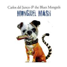 Carlos Del Junco And The Blues Mongrels