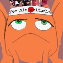 The Ninjaviduals