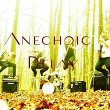 Anechoic Delay