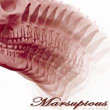 Marsupious