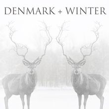 Denmark + Winter