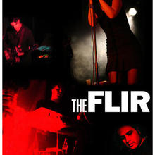 The FLIR
