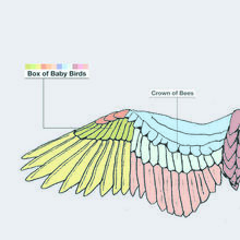 Box of Baby Birds