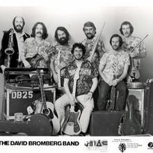David Bromberg Band
