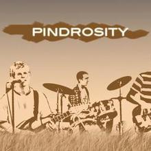 Pindrosity