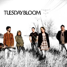 Tuesday Bloom
