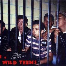 Lil Luis Y Los Wild Teens