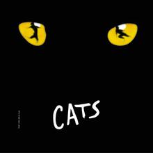 Cats Cast