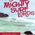 Mighty Surf Lords